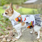 Pet Dog Cat Ruffle Harness Halloween Witches brew