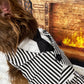 Dog Cat Pet Vest Harness Beetle Juice Striped  Suit Tux Costume