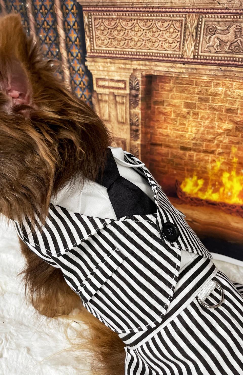 Dog Cat Pet Vest Harness Beetle Juice Striped  Suit Tux Costume