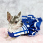 Dog Cat Pet Dress Harness Ahoy Sailor with Crinoline Pre-made