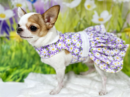 Dog Cat Pet Harness Dress White & Purple Daisies