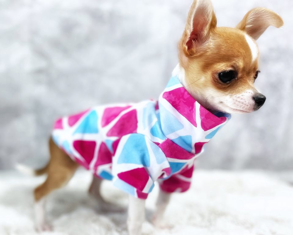 Comfy Stretch: The Bright and Vibrant Pet Long-Sleeve Shirt