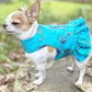 Dog Cat Pet Ruffle Harness Vest  Blue Gold  Paisley Washable  Next Day Shipping
