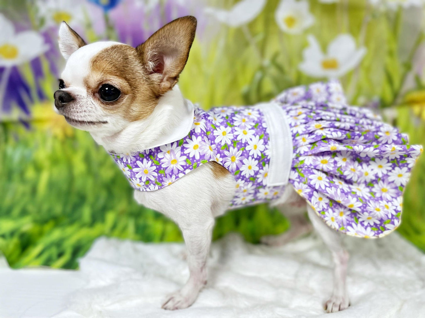 Dog Cat Pet Cotton Dress Harness Purple Daisy Easter
