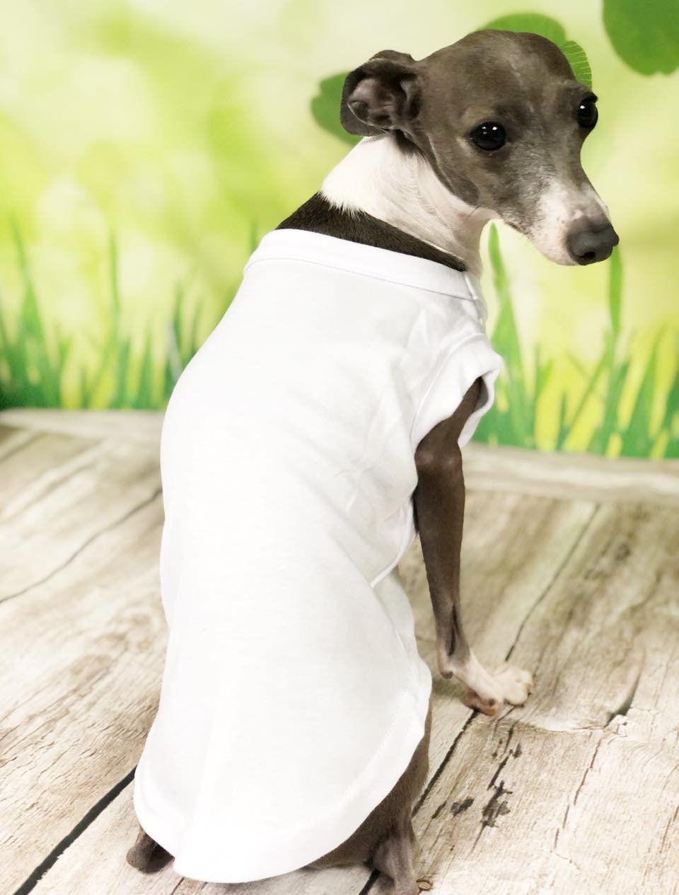 Dog Cat Pet Shirt Customized tshirt tees cotton soft Personalized