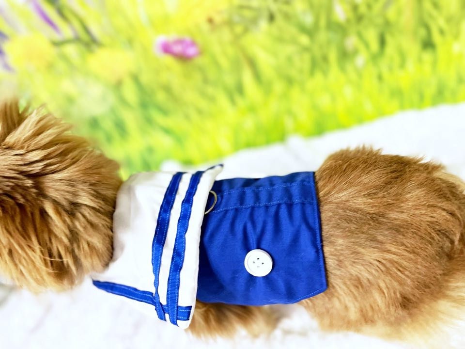 Dog Cat Pet  Harness Vest Harness Ahoy Sailor Blue Navy Next Day Shipping