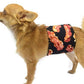 Dog Belly Band Diaper Bacon Marking Incontinence  Washable Reusable Waterproof Wrap Extra wide