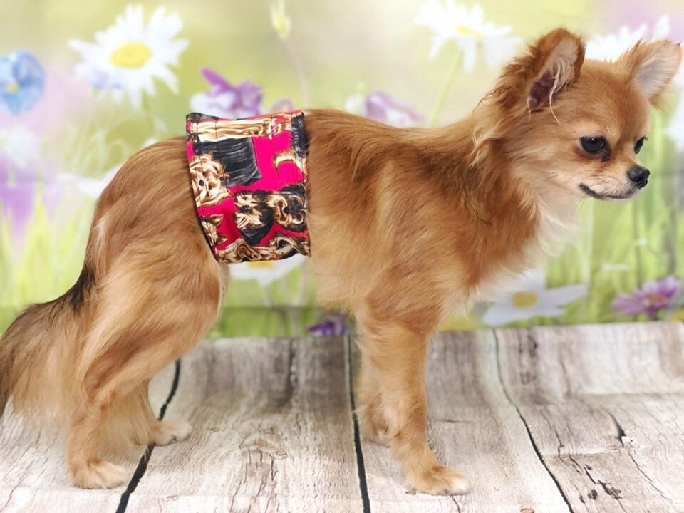 Dog Belly Band Diaper Red Yorkie Yorkshire Terrier Marking Incontinence  Washable Reusable Waterproof Wrap Extra wide