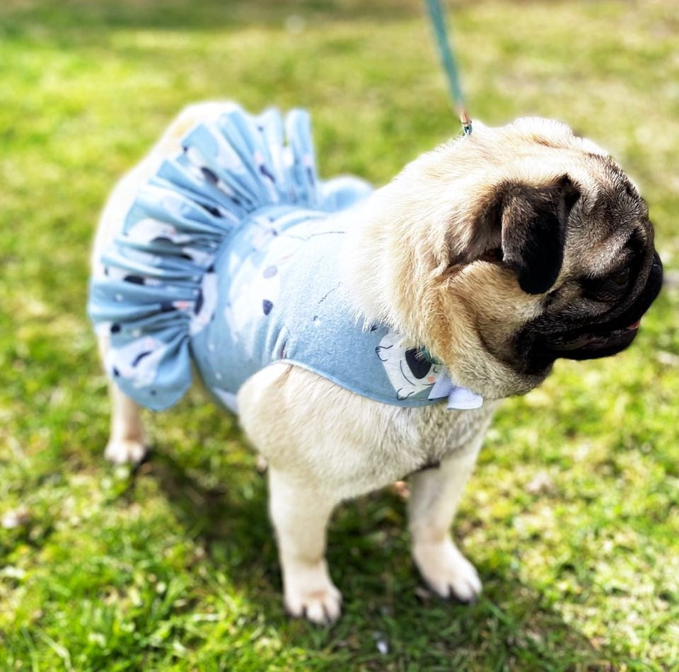 Dog Cat Pet Ruffle Harness Vest Nappy Pugs Washable Pre made Ships FAST