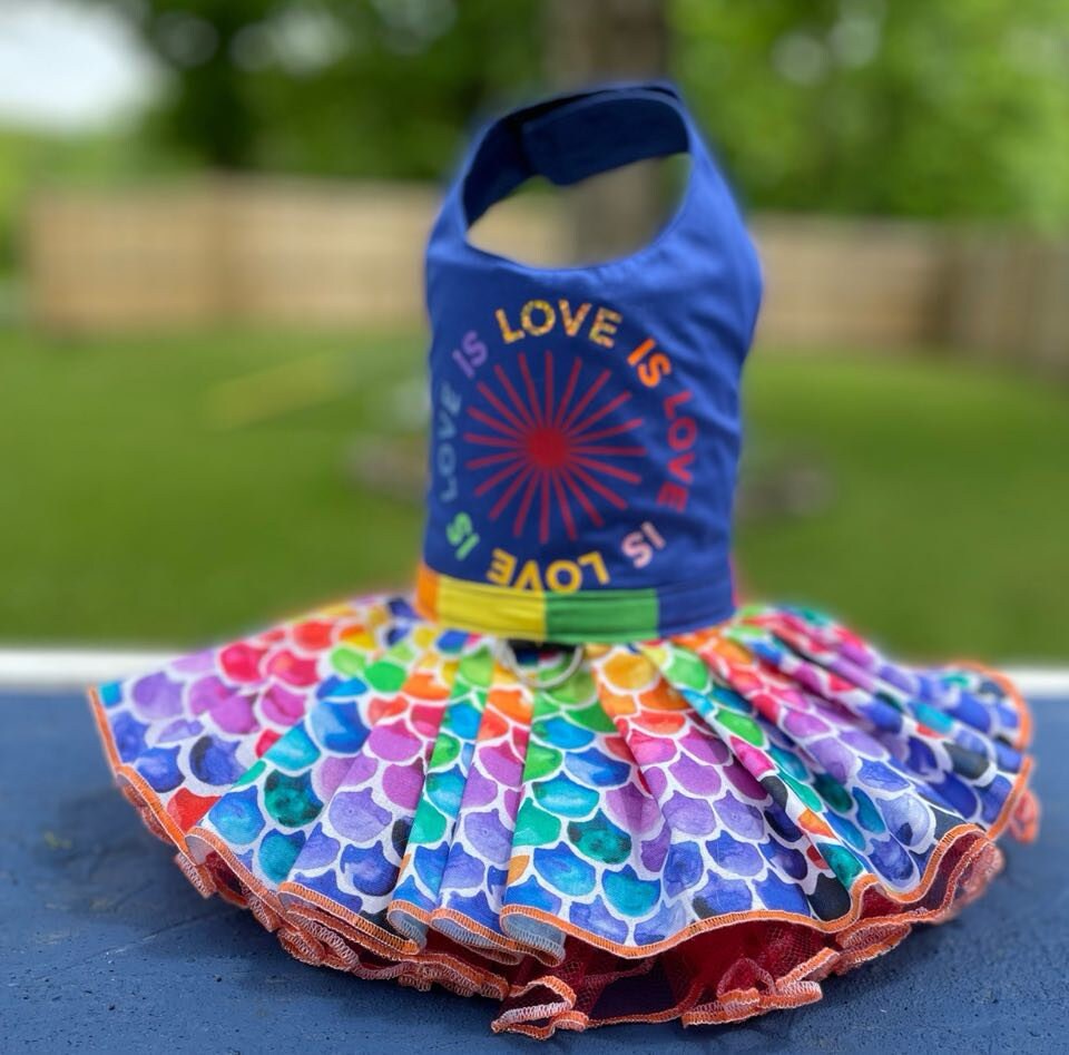 Dog Cat teacup Dress Harness Love is Love Pet Clothing with Poof and Leash ring Pride Month