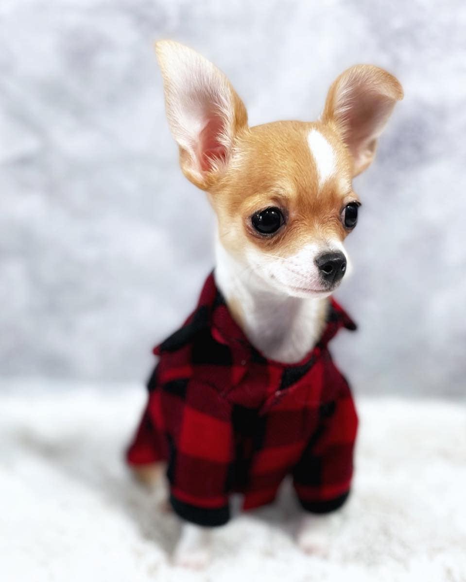 Plaid Perfection: The Ultimate Pet Flannel Button-Up with Leash Ring