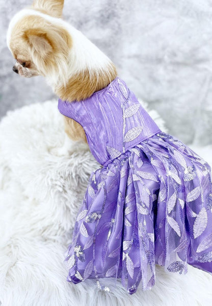 Purple Petal Lace Gown Pet Dress Elegant.